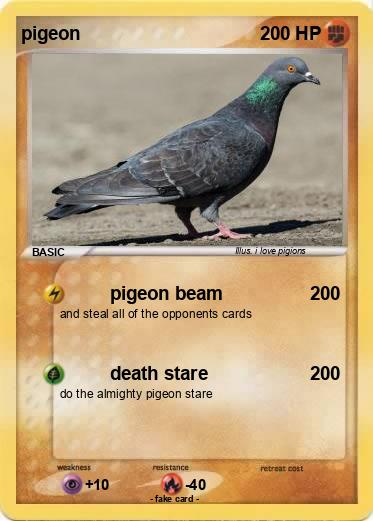 Pokemon pigeon