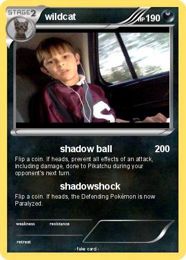 Pokemon wildcat