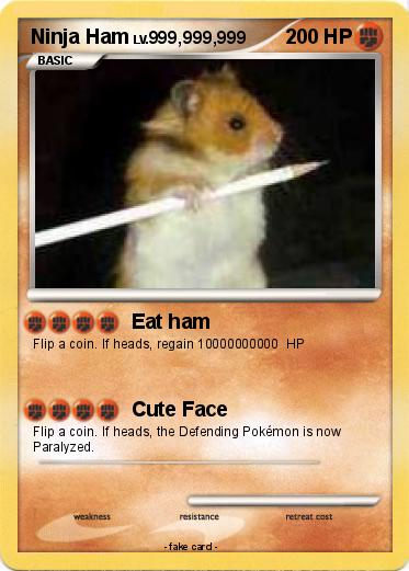Pokemon Ninja Ham