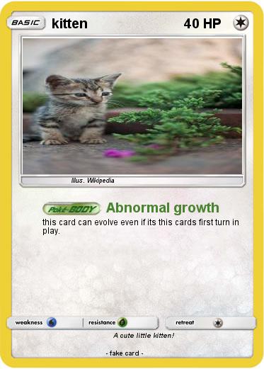 Pokemon kitten