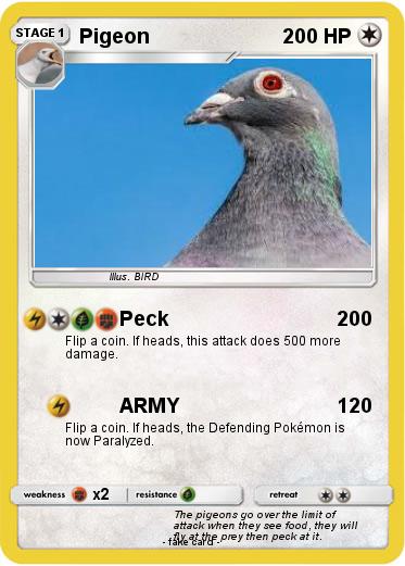 Pokemon Pigeon