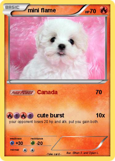 Pokemon mini flame