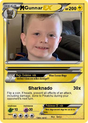 Pokemon Gunnar