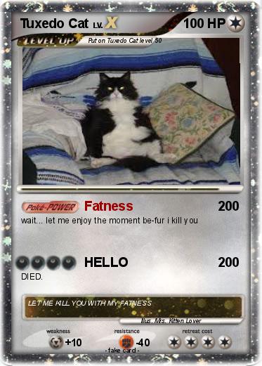 Pokemon Tuxedo Cat
