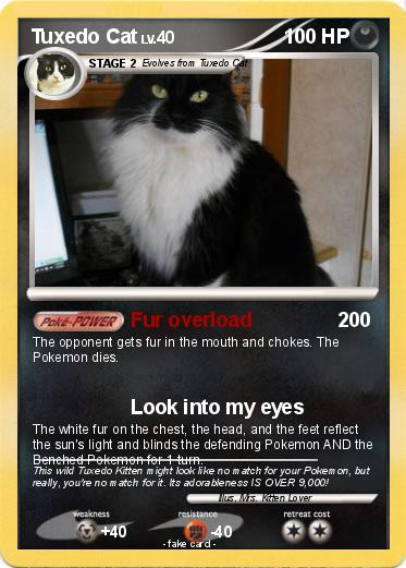 Pokemon Tuxedo Cat