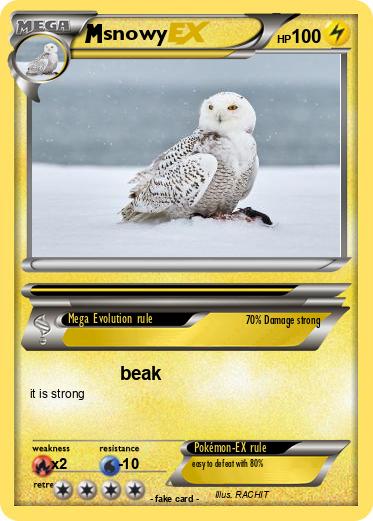 Pokemon snowy