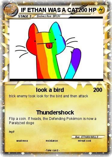 Pokemon IF ETHAN WAS A CAT