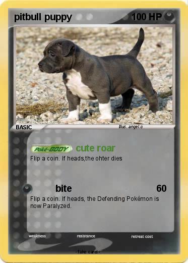 Pokemon pitbull puppy