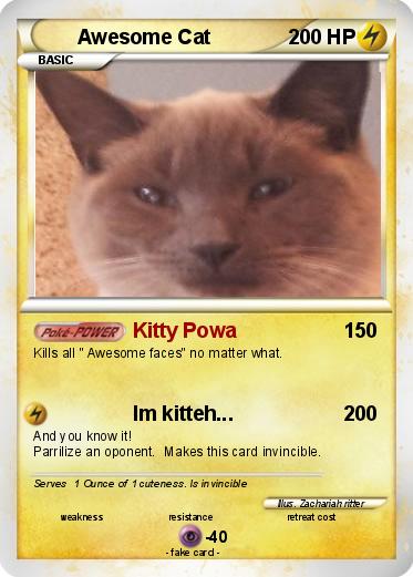 Pokemon Awesome Cat