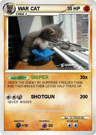Pokemon WAR CAT