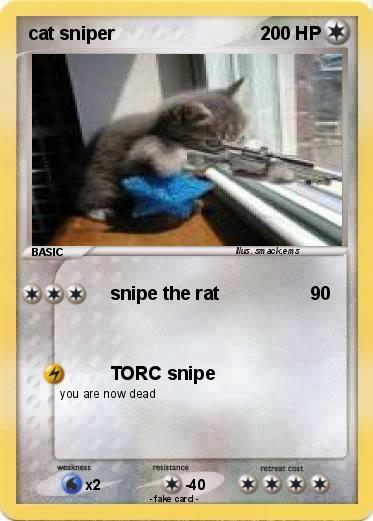 Pokemon cat sniper