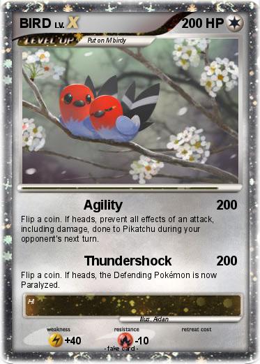 Pokemon BIRD