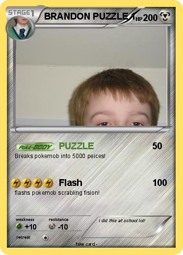 Pokemon BRANDON PUZZLE 1