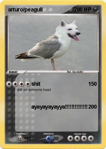 Pokemon arturo/peagull