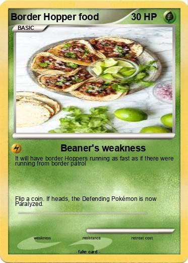 Pokemon Border Hopper food