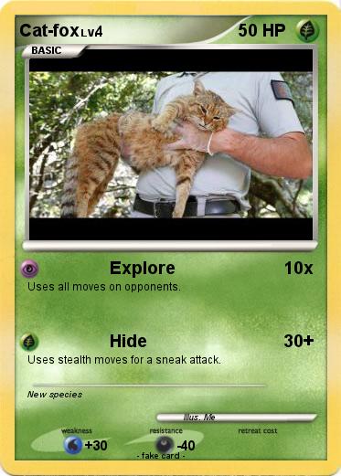 Pokemon Cat-fox