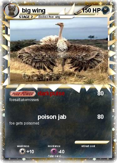 Pokemon big wing