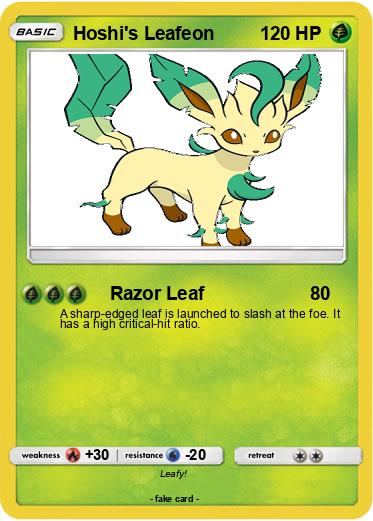 Pokemon Hoshi's Leafeon