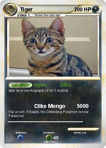 Pokemon Tiger