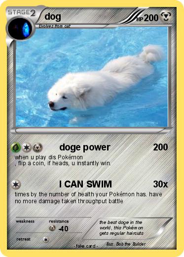 Pokemon dog