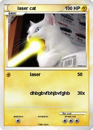 Pokemon laser cat