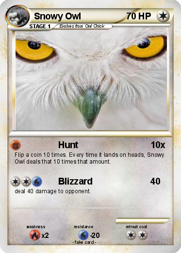 Pokemon Snowy Owl