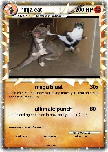 Pokemon ninja cat