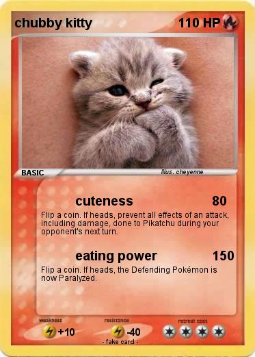 Pokemon chubby kitty