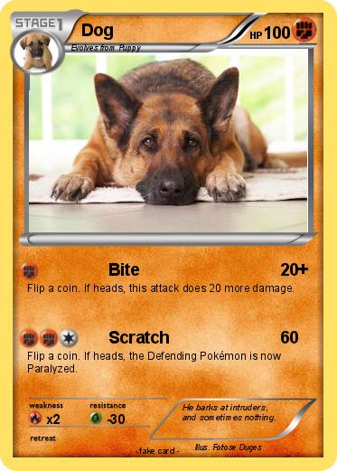 Pokemon Dog