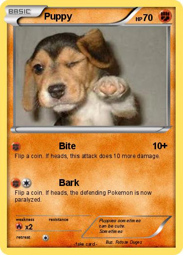 Pokemon Puppy