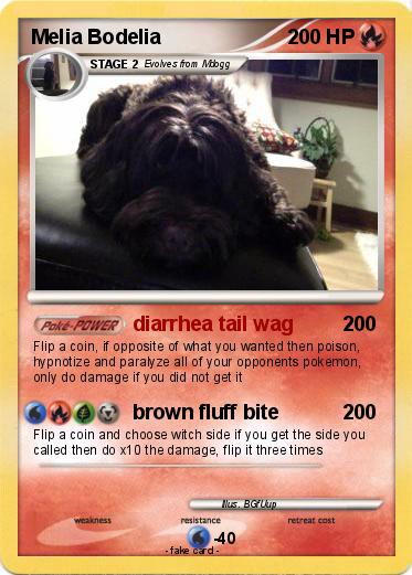 Pokemon Melia Bodelia