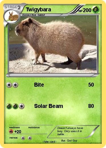 Pokemon Twigybara