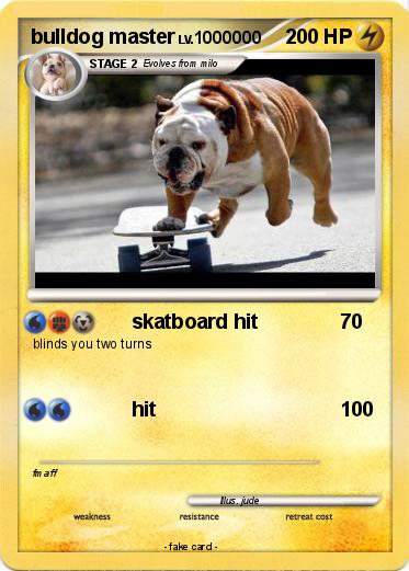 Pokemon bulldog master