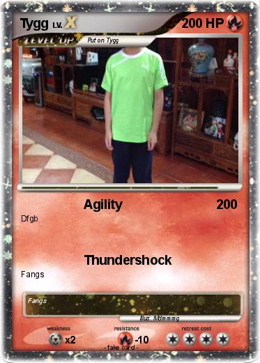Pokemon Tygg