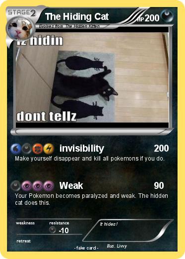 Pokemon The Hiding Cat