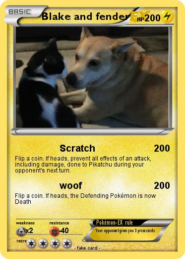 Pokemon Blake and fender