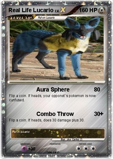 Pokemon Real Life Lucario