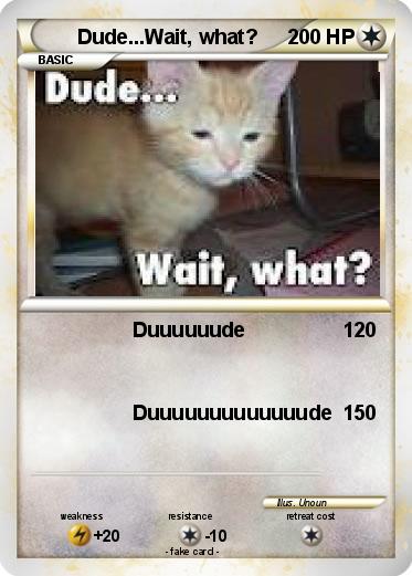 Pokemon Dude...Wait, what?