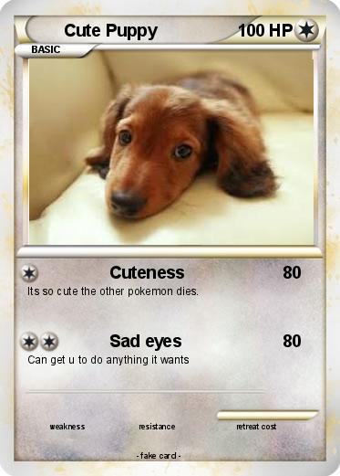 Pokemon Cute Puppy