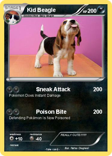 Pokemon Kid Beagle