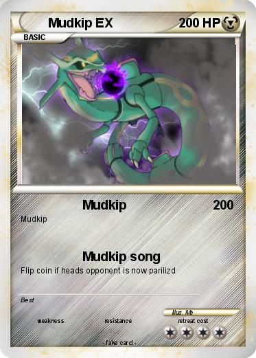 Pokemon Mudkip EX