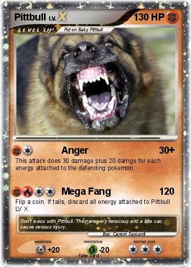 Pokemon Pittbull