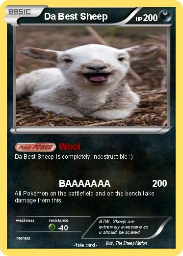 Pokemon Da Best Sheep