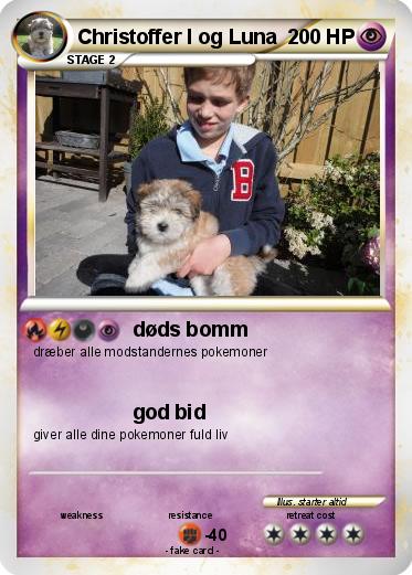 Pokemon Christoffer I og Luna