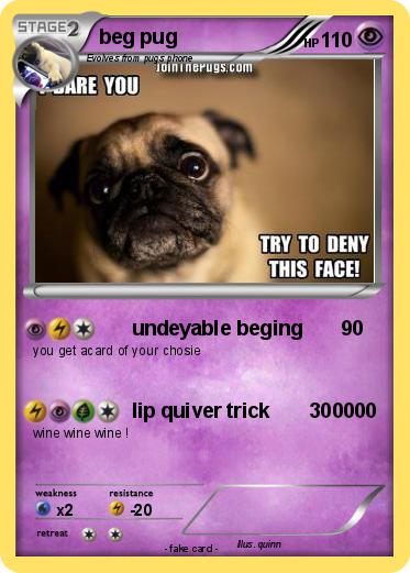 Pokemon beg pug