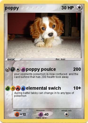 Pokemon poppy