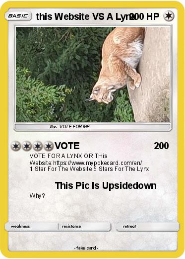 Pokemon this Website VS A Lynx
