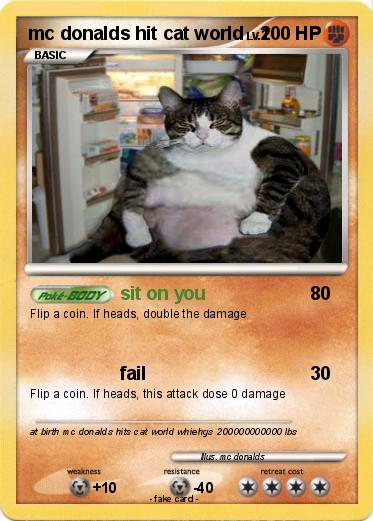 Pokemon mc donalds hit cat world