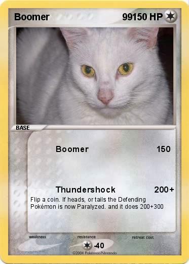 Pokemon Boomer                            99