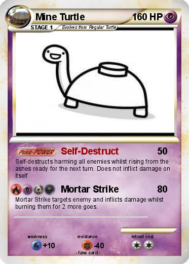 Pokemon Mine Turtle